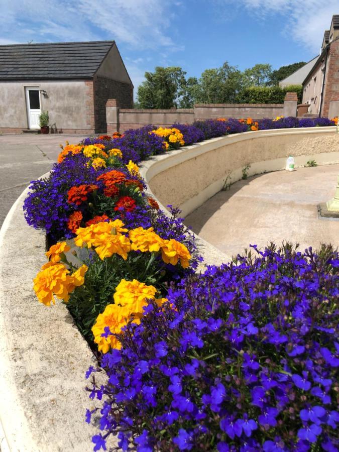 Oakfield B&B Lisburn Luaran gambar