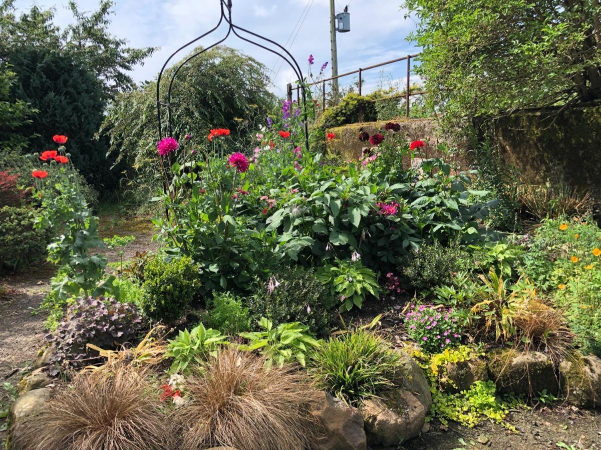 Oakfield B&B Lisburn Luaran gambar